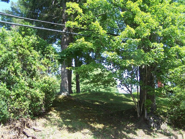 301 South Cherokee Street, Jonesborough, TN 37659
