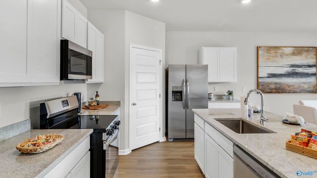 195 Cattail Court, Guntersville, AL 35976