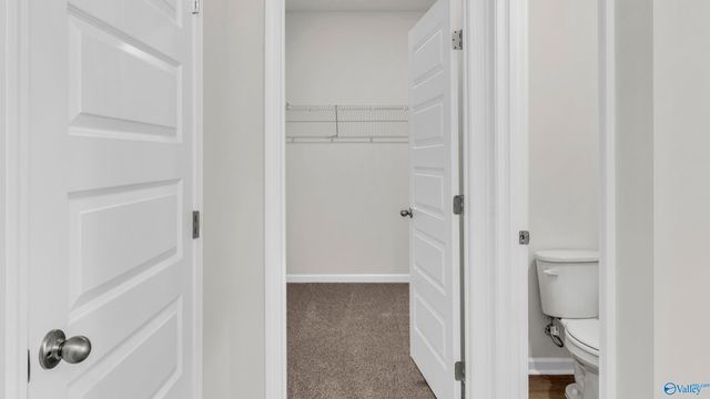 195 Cattail Court, Guntersville, AL 35976