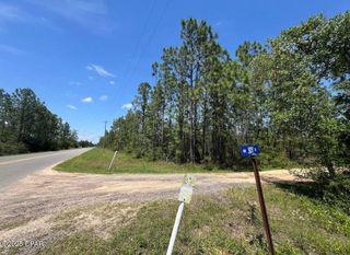 3974 NW Joy Lane, Altha, FL 32421