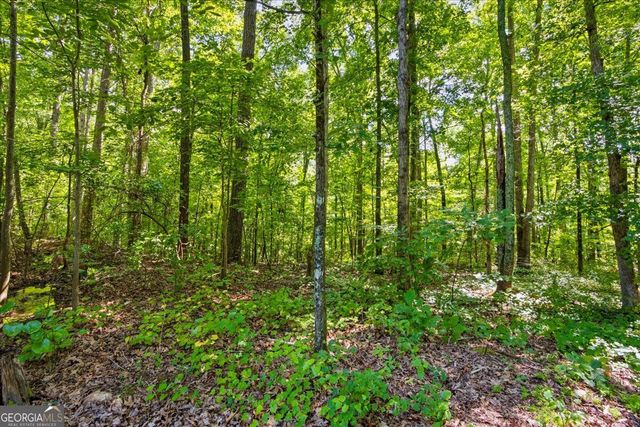 200 Gina Drive, Carrollton, GA 30116