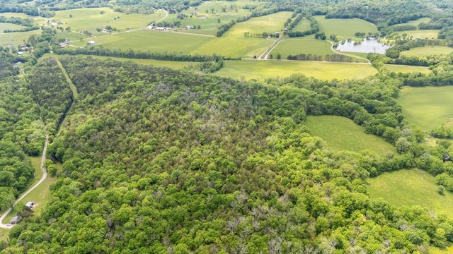 0 Leipers Creek Road, Williamsport, TN 38487