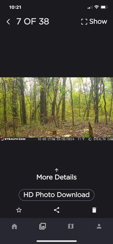 0 Leipers Creek Road, Williamsport, TN 38487