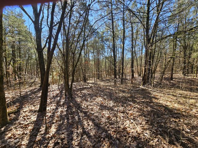 0 Leipers Creek Road, Williamsport, TN 38487