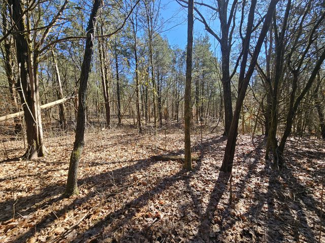 0 Leipers Creek Road, Williamsport, TN 38487