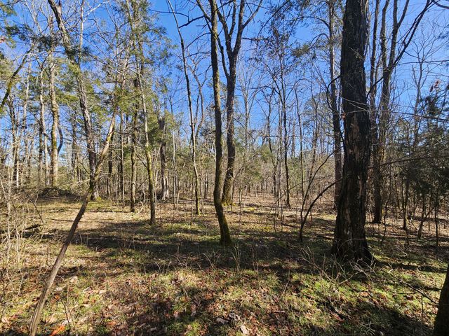 0 Leipers Creek Road, Williamsport, TN 38487