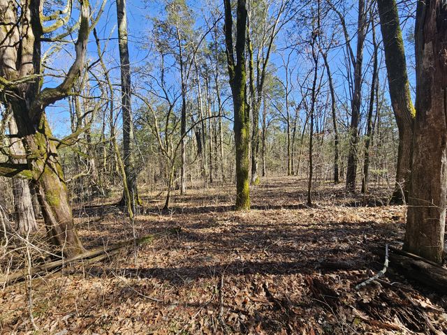 0 Leipers Creek Road, Williamsport, TN 38487