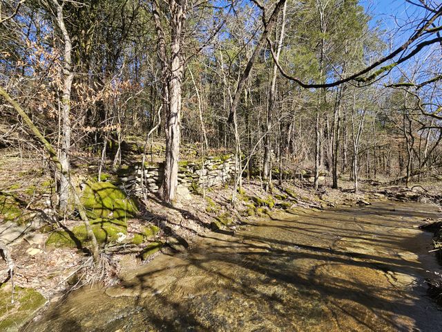 0 Leipers Creek Road, Williamsport, TN 38487