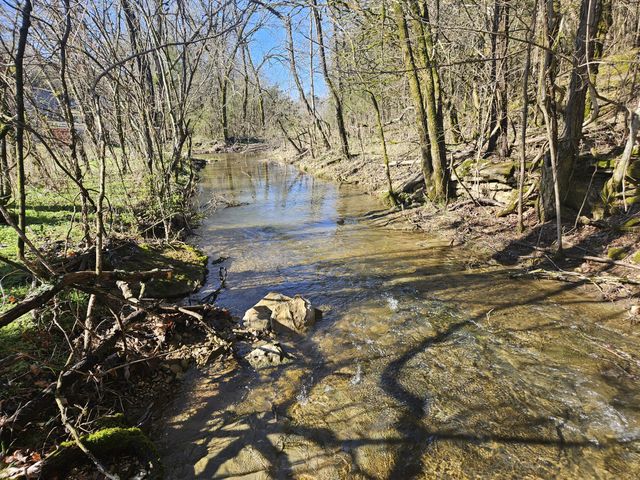 0 Leipers Creek Road, Williamsport, TN 38487