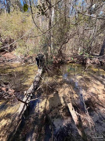 Lot 21 Creek Bluff Dr, Pace, FL 32571