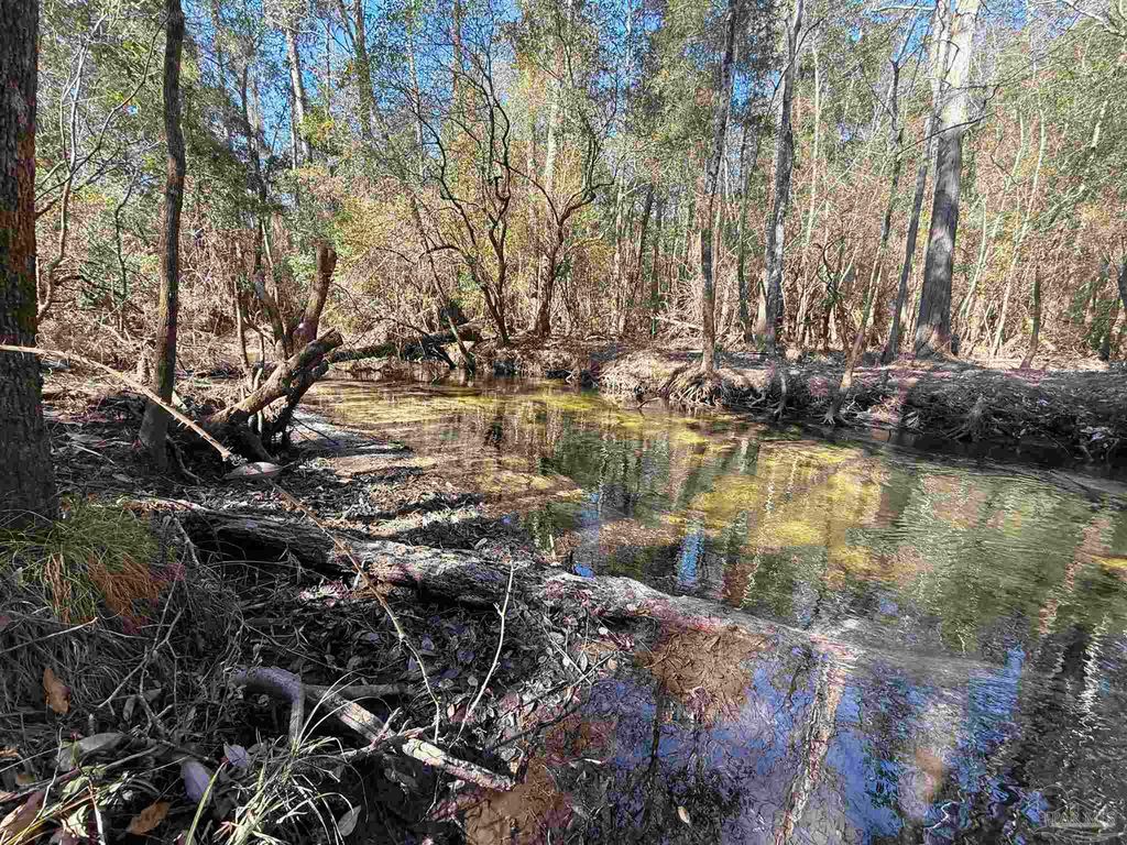Lot 21 Creek Bluff Dr, Pace, FL 32571