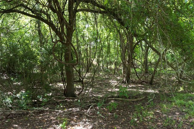 TBD Cr 212 - Tract 5, Hallettsville, TX 77964