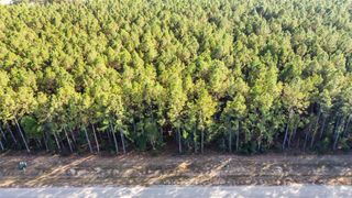 1878 Road 66116, Dayton, TX 77535