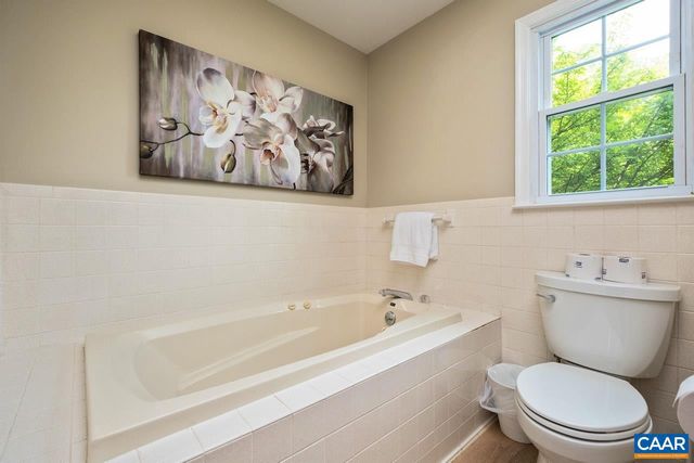 168 LAKELAND LN, Faber, VA 22938