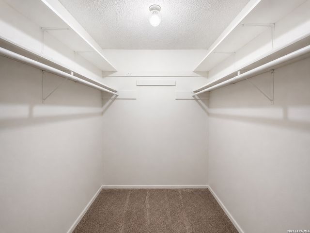 16606 MARTINS FERRY ST, San Antonio, TX 78247