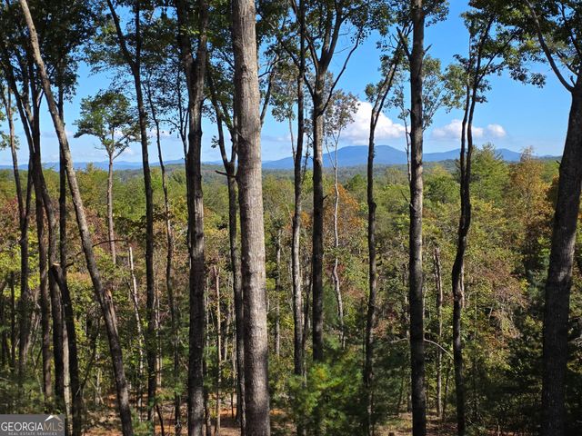 345 Big Oak Lane, Blue Ridge, GA 30513