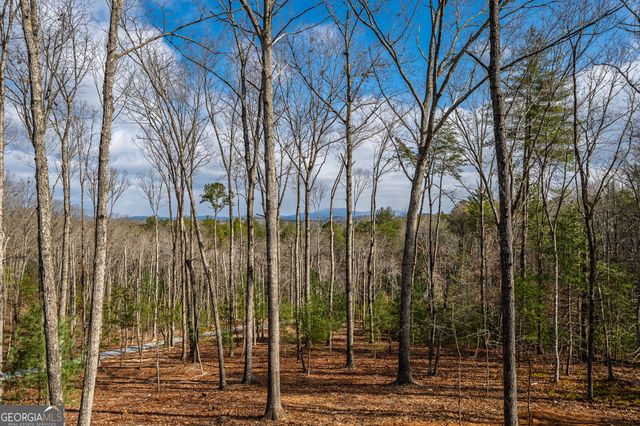 345 Big Oak Lane, Blue Ridge, GA 30513