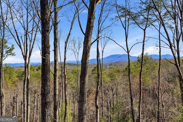 345 Big Oak Lane, Blue Ridge, GA 30513