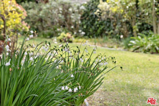 308 Windward Avenue, Venice (los Angeles), CA 90291