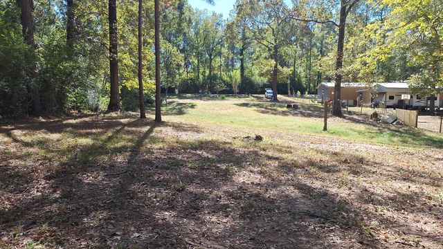 185 Amber Lane, Livingston, TX 77351