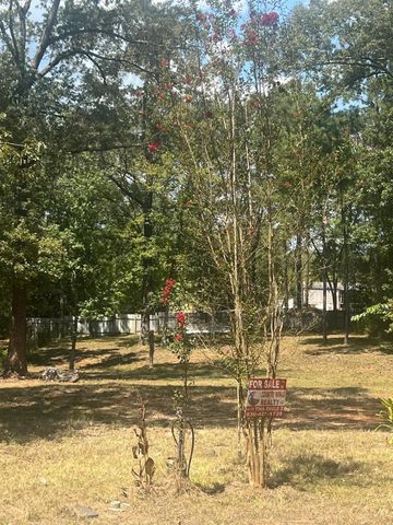 185 Amber Lane, Livingston, TX 77351