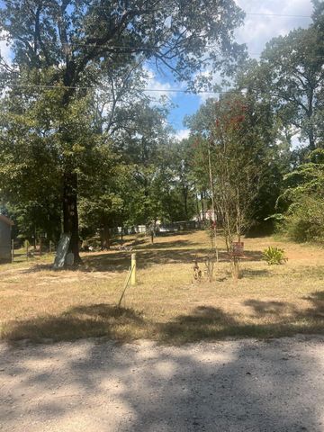 185 Amber Lane, Livingston, TX 77351