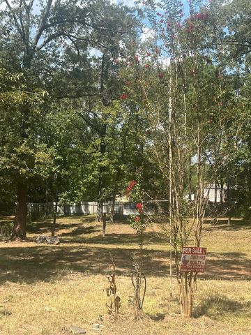 185 Amber Lane, Livingston, TX 77351