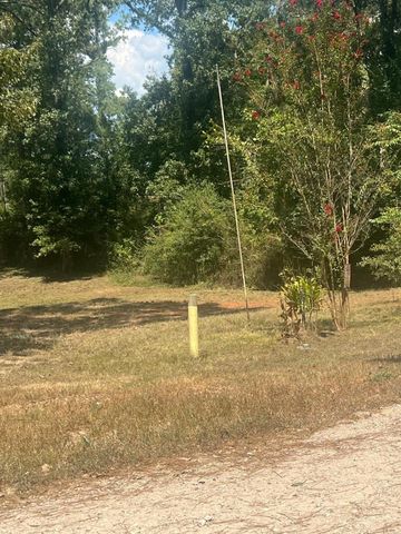 185 Amber Lane, Livingston, TX 77351