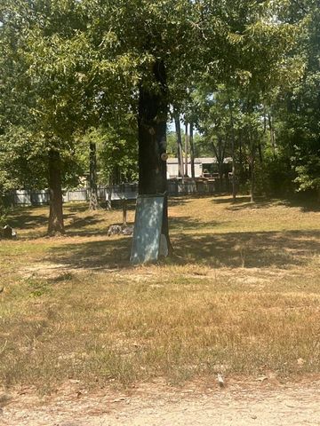 185 Amber Lane, Livingston, TX 77351