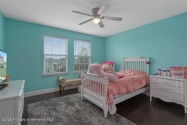 14375 Saltby Place, Spring Hill, FL 34609