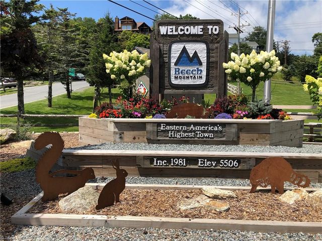 301 Pinnacle Inn Road 1110, Beech Mountain, NC 28604