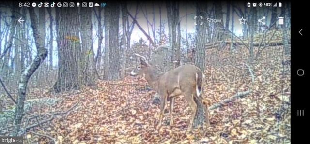 2325 YORK RD, Gettysburg, PA 17325