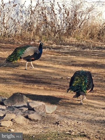 2325 YORK RD, Gettysburg, PA 17325