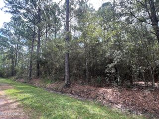 Nhn Tampa Circle, Pearlington, MS 39572
