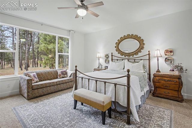 11325 Laforet Point, Colorado Springs, CO 80908