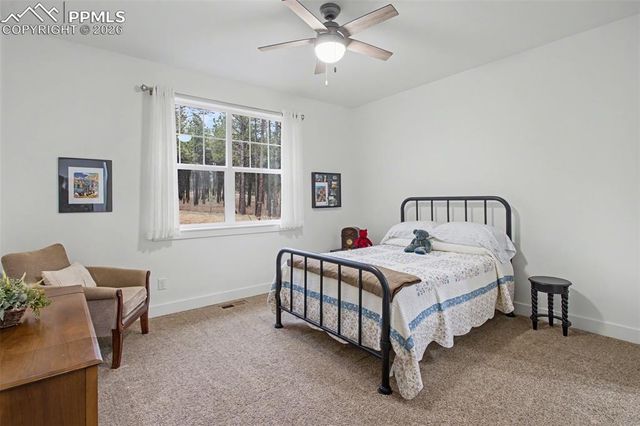 11325 Laforet Point, Colorado Springs, CO 80908