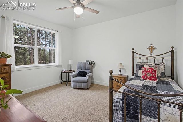 11325 Laforet Point, Colorado Springs, CO 80908