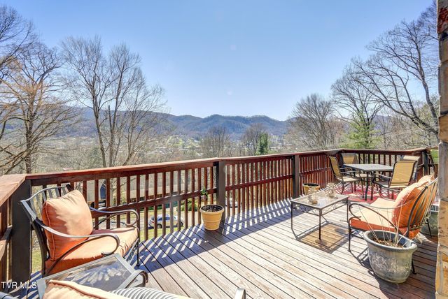 154 Horton Ridge Road, Erwin, TN 37650
