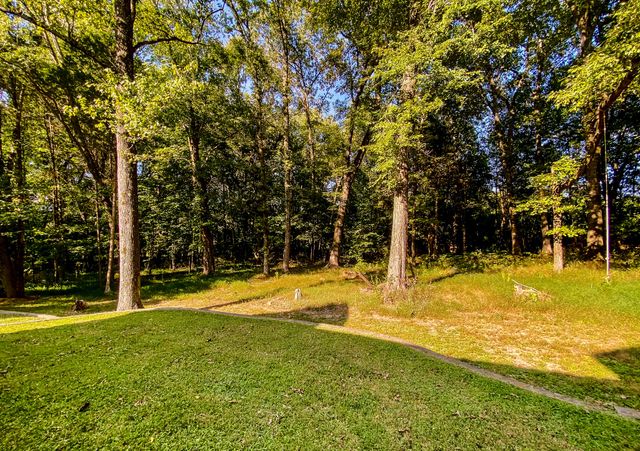 1006 Clearview Pt, Cottontown, TN 37048