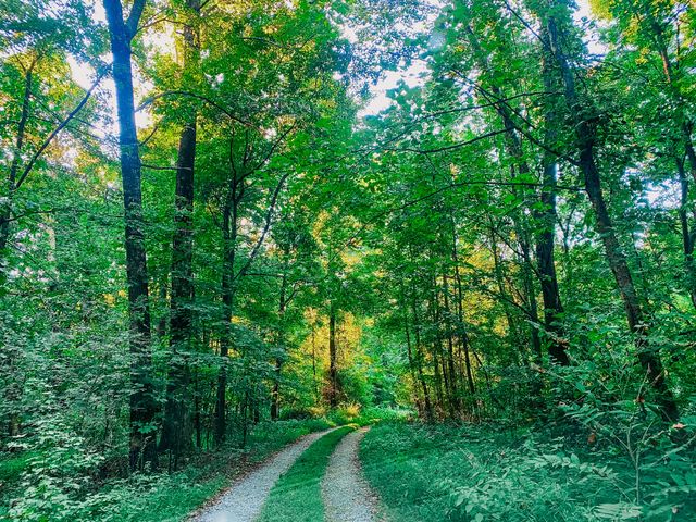 1006 Clearview Pt, Cottontown, TN 37048