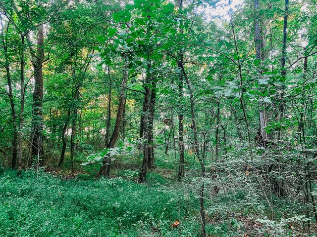 1006 Clearview Pt, Cottontown, TN 37048