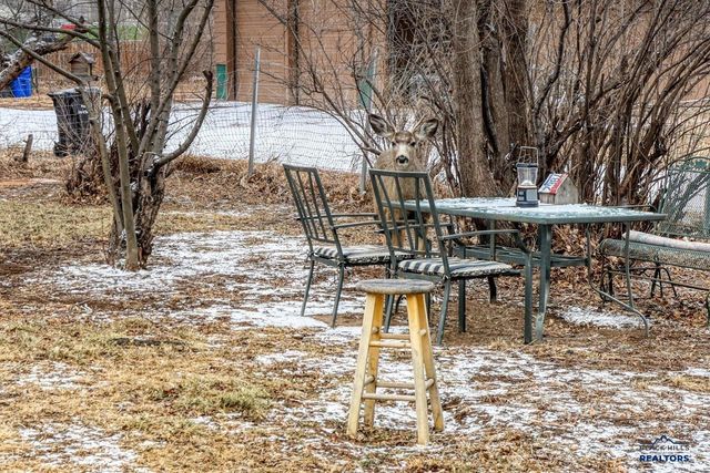 230 ADAMS, Rapid City, SD 57701