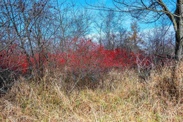 72 Ac. Czech Drive, Berlin, WI 54923