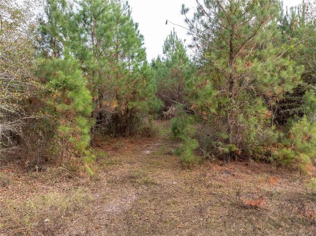 71ST WAY, Lake Butler, FL 32054