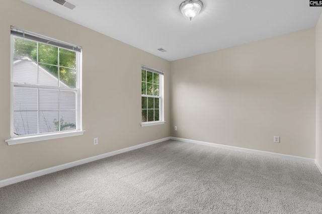 147 Palmetto Hall Drive, Lexington, SC 29072