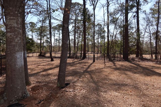 131 Green Court, Santee, SC 29142