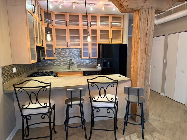 1735 W Diversey Parkway 118, Chicago, IL 60614