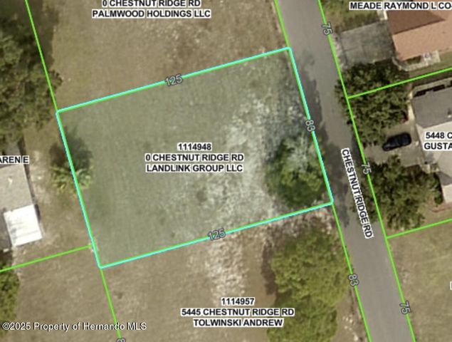 5449 Chestnut Ridge Road, Dade City, FL 33523