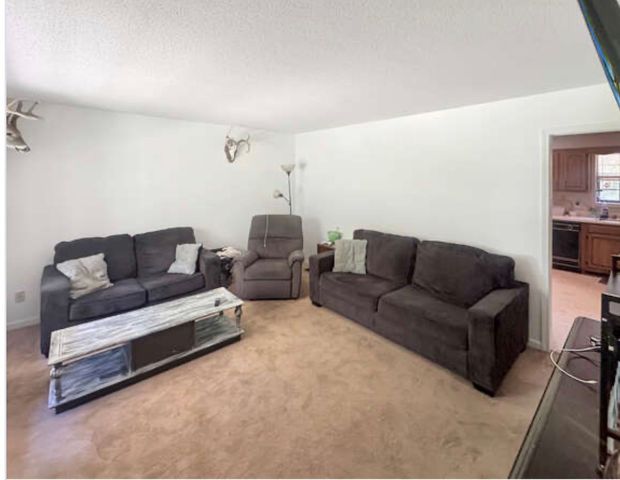 127 Lena Sykes Rd, Dover, TN 37058