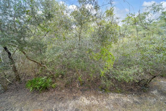 34 Herons Watch Way UNIT 1202, Santa Rosa Beach, FL 32459